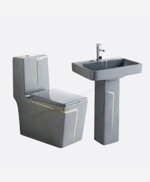 Chaise anglaise avec lavabo intégré