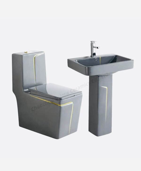 Chaise anglaise avec lavabo intégré