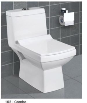 WC Monobloc Graphite